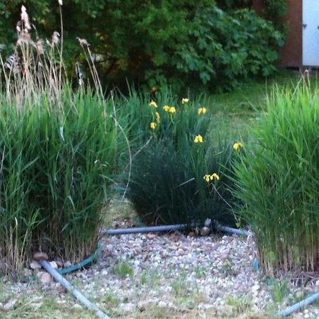 Appartement Neuf & Ecologique A La Campagne Marzens Esterno foto