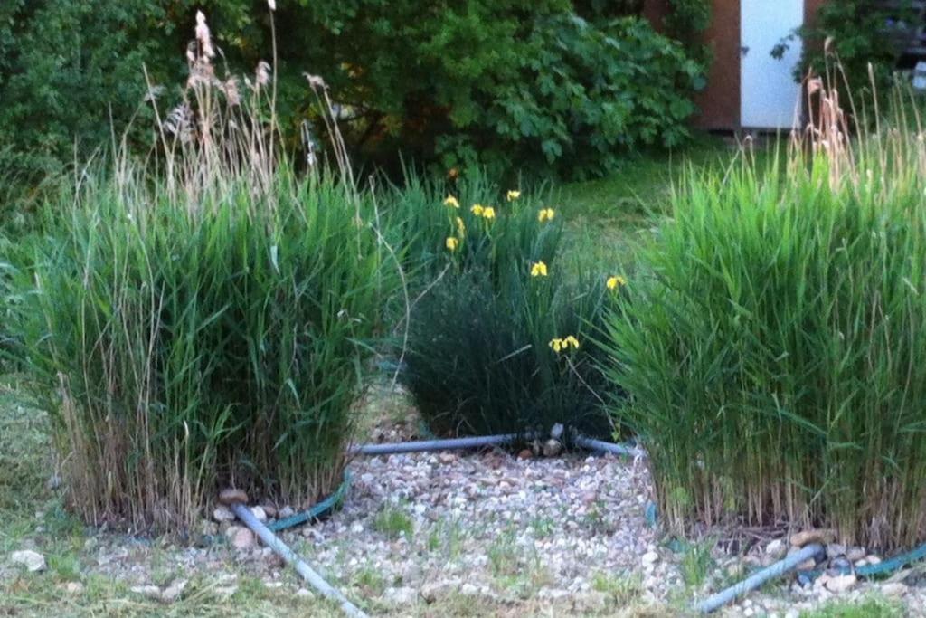 Appartement Neuf & Ecologique A La Campagne Marzens Esterno foto